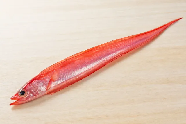 アカタチ