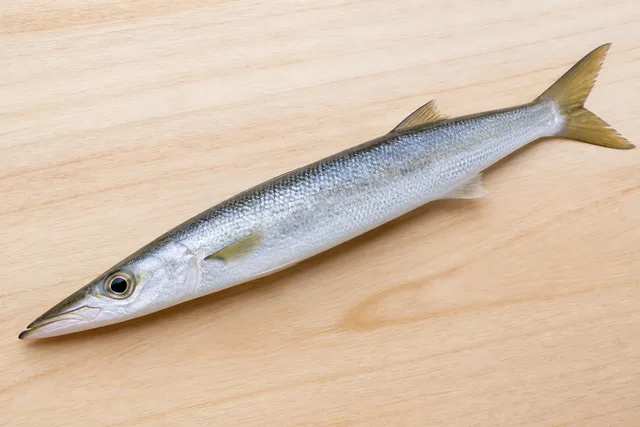 カマス