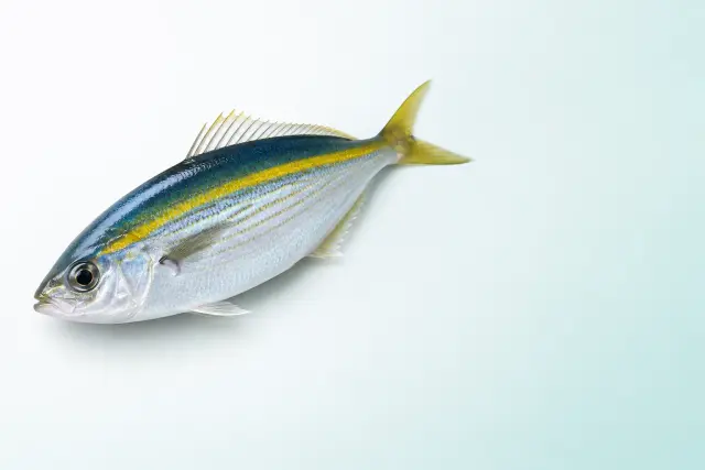タカベ