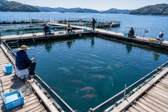 海上釣り堀