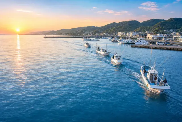 保田港