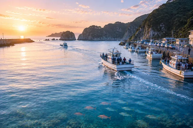 妻良港
