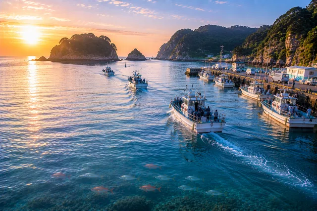 田子港
